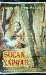 Ağa Düşen Kadın Yerli Erotik izle