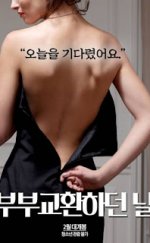 The Day The Couple Exchanged Erotik Film izle