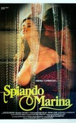Tilkinin Gülüşü Erotik Film izle