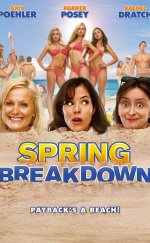Unutulmaz Tatil (Spring Breakdown) izle (2009)